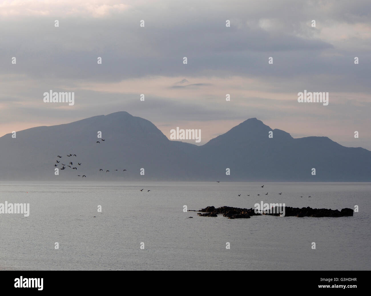 Le oche in volo in parte anteriore del Rum da Isle of Muck, Scozia Foto Stock