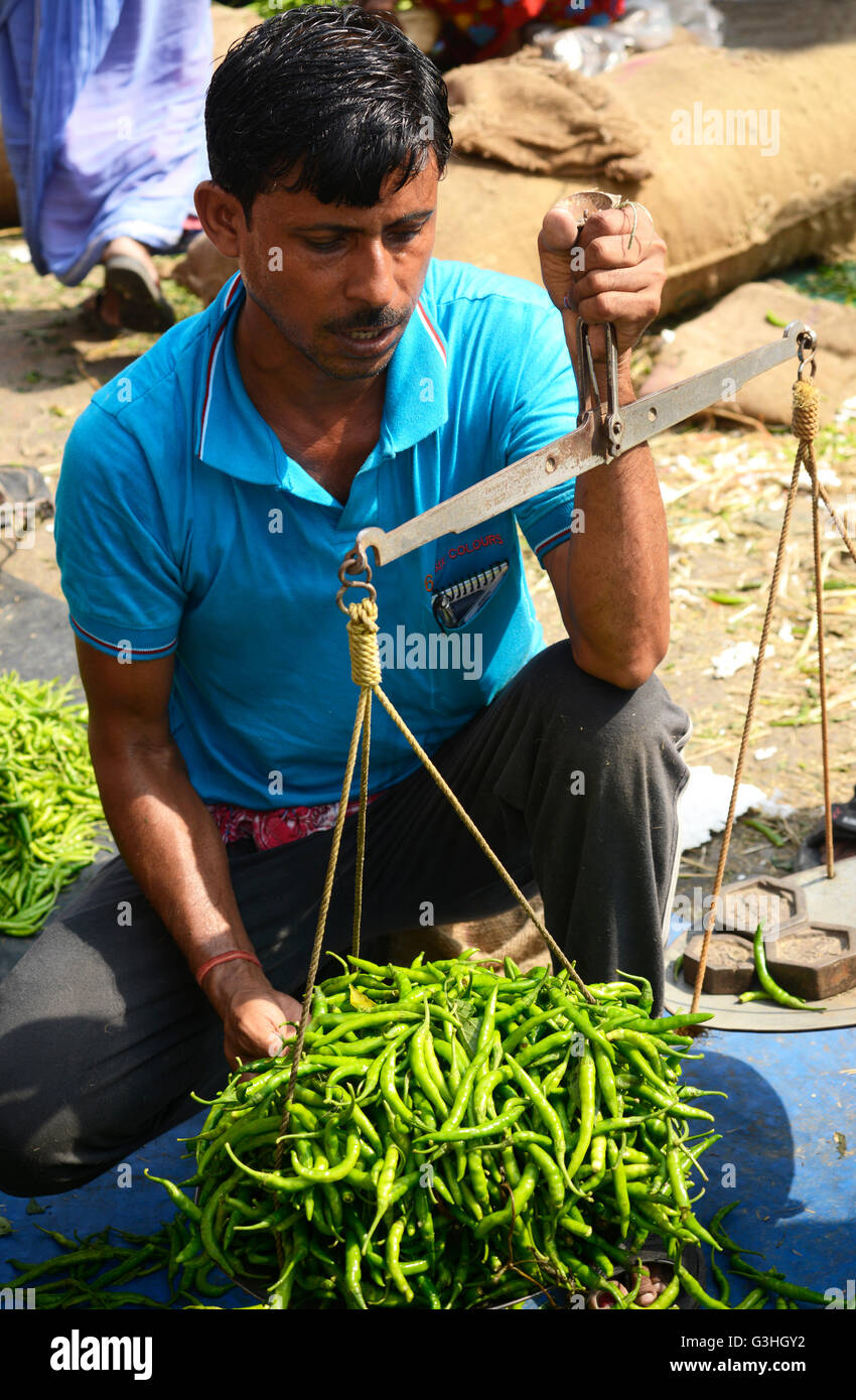 Peperoncino verde venditore a livello locale mercato ortofrutticolo in India Foto Stock