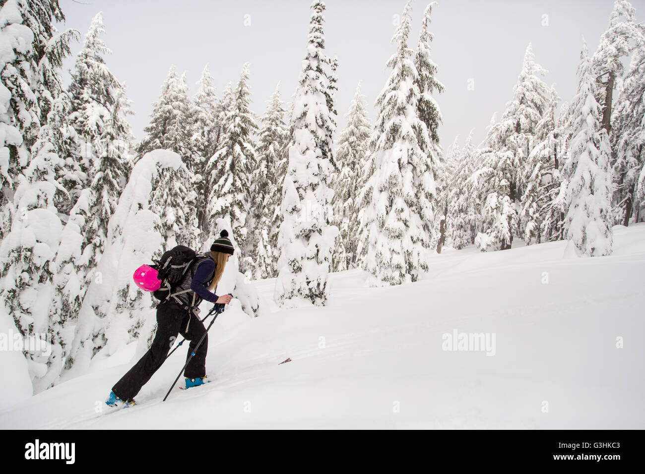 Giovane donna, sci di fondo, Tumalo Mountain, Oregon, Stati Uniti d'America Foto Stock
