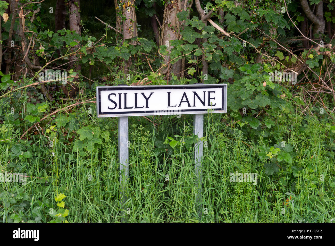 Silly Lane, cartello stradale, Lowgill, Lancashire, Regno Unito Foto Stock