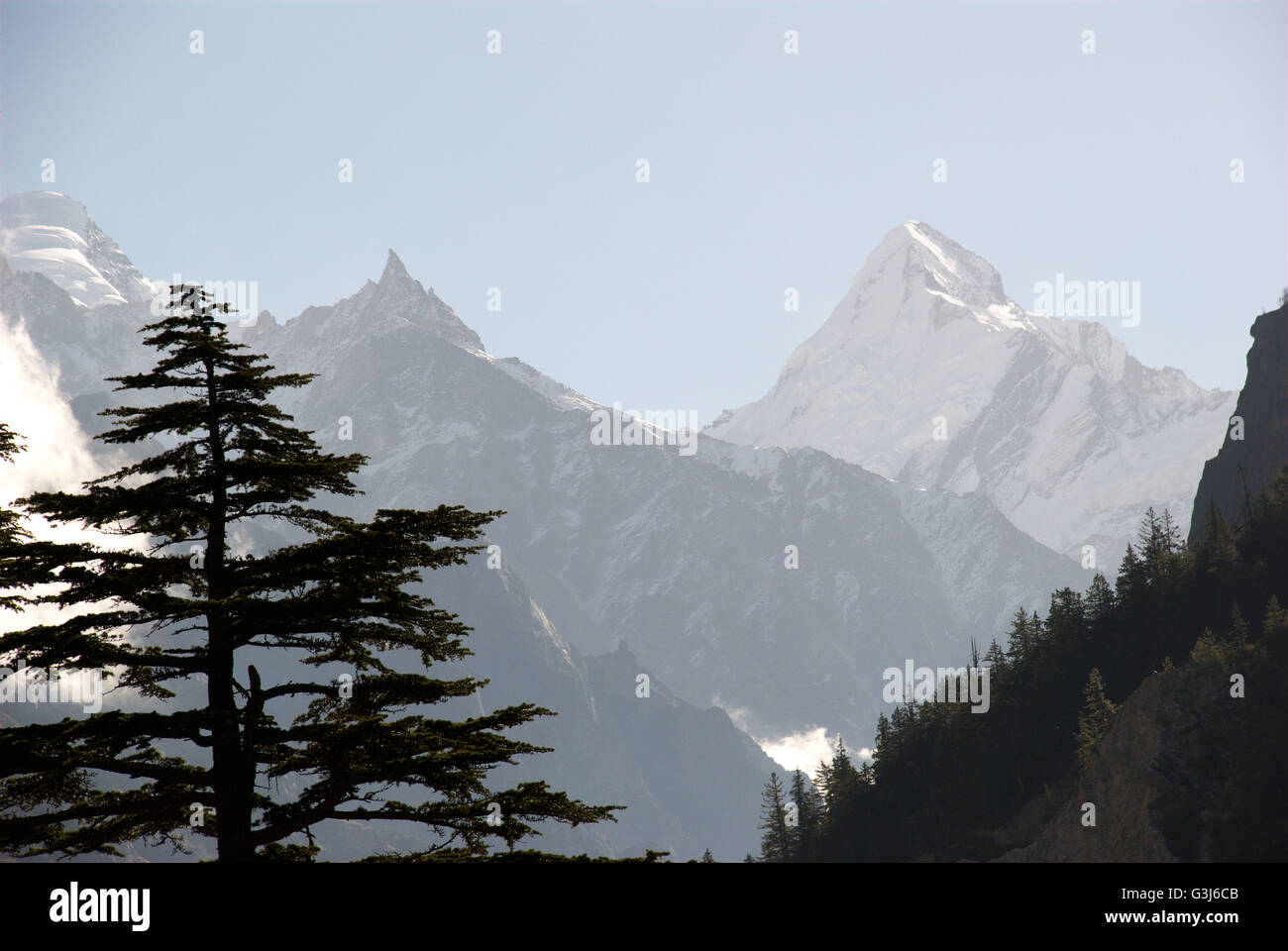 Gangotri National Park e trekking a Gaumukh, la sorgente del sacro fiume Gange, Uttarakhand, India Foto Stock