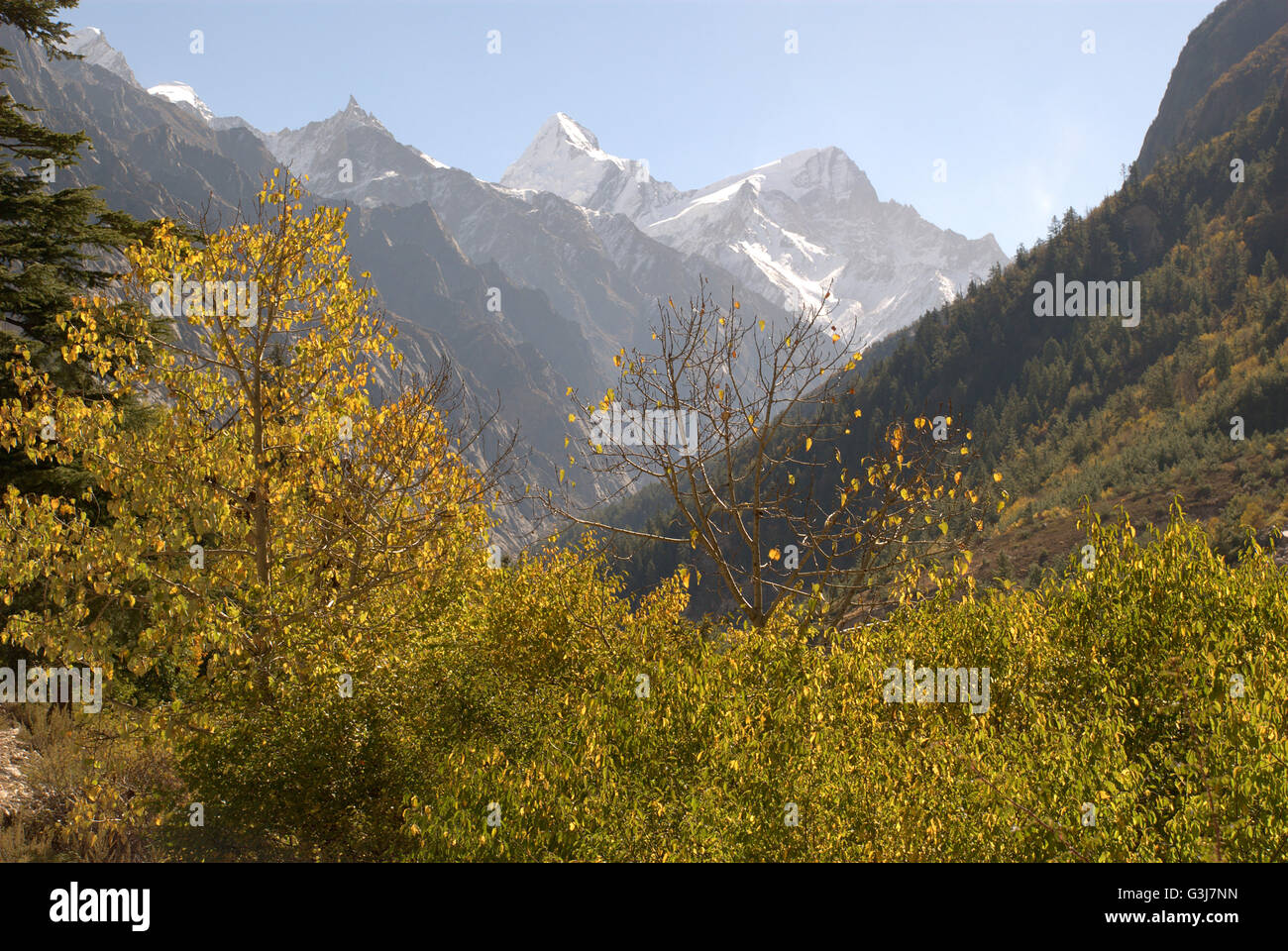 Gangotri National Park e trekking a Gaumukh, la sorgente del sacro fiume Gange, Uttarakhand, India Foto Stock