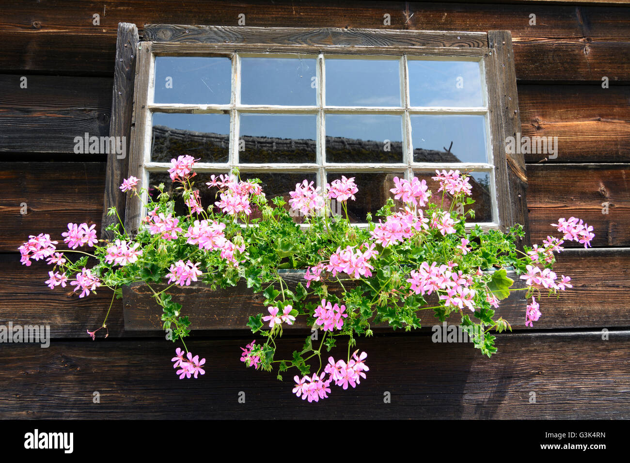 Aria aperta village museum Krumbach, fiori a finestra - Bucklige Welt, Austria, Niederösterreich, Bassa Austria, Wiener Alpen, Kru Foto Stock