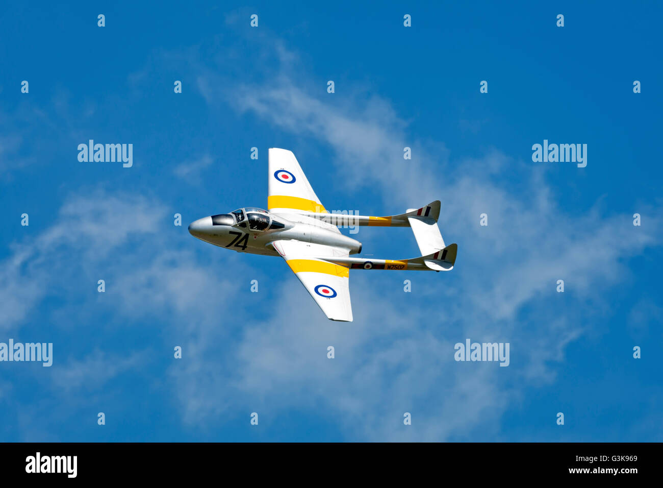 De Havilland Vampire T.11, WZ507, all'Airshow di Cotswold, Kemble, Gloucestershire, XX giugno 2010. Foto Stock