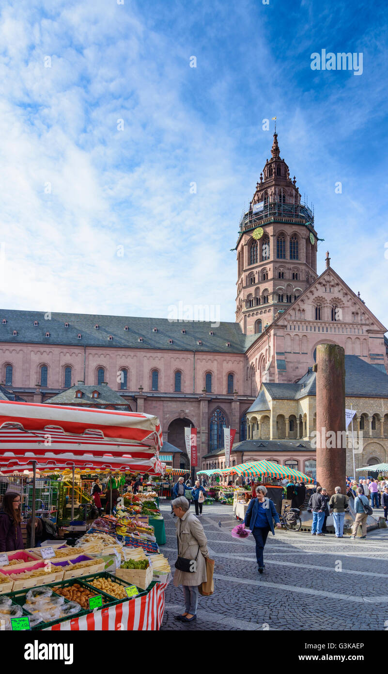 San Martin's Cathedral , pilastro Heunensäule e mercato settimanale, Germania Renania-Palatinato, Renania-Palatinato, , Magonza Foto Stock