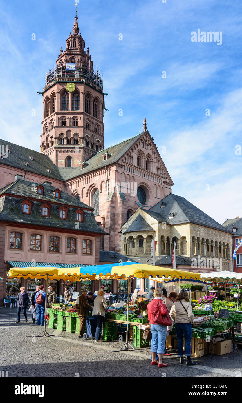 San Martin's Cathedral e il mercato settimanale, Germania Renania-Palatinato, Renania-Palatinato, , Magonza Foto Stock