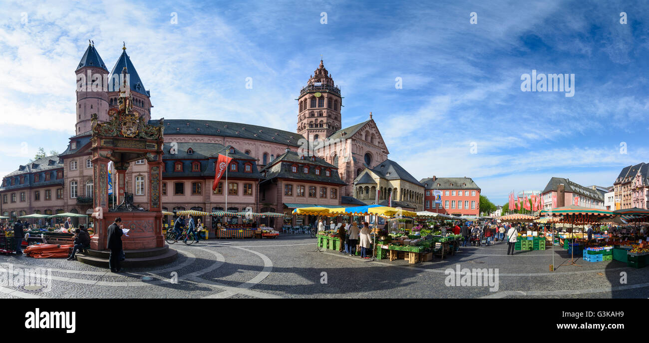 San Martin's Cathedral, fontana del mercato e il mercato settimanale, Germania Renania-Palatinato, Renania-Palatinato, , Magonza Foto Stock
