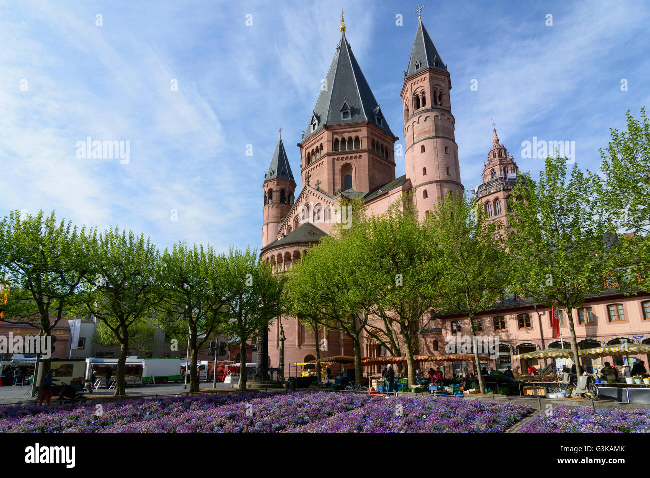 San Martin's Cathedral, mercato settimanale, Germania Renania-Palatinato, Renania-Palatinato, , Magonza Foto Stock