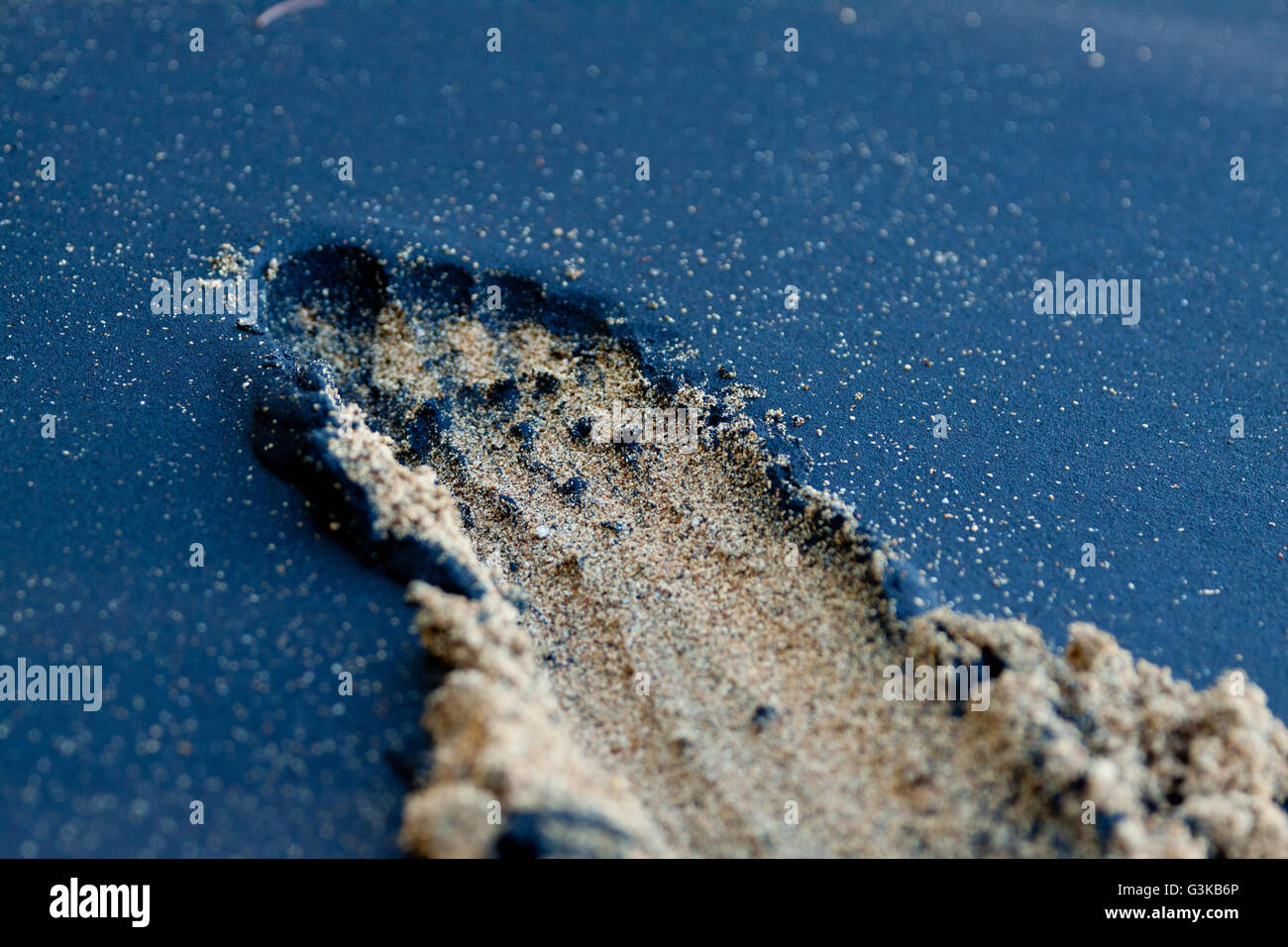 Foto di orme nella sabbia nera e bianca Foto Stock