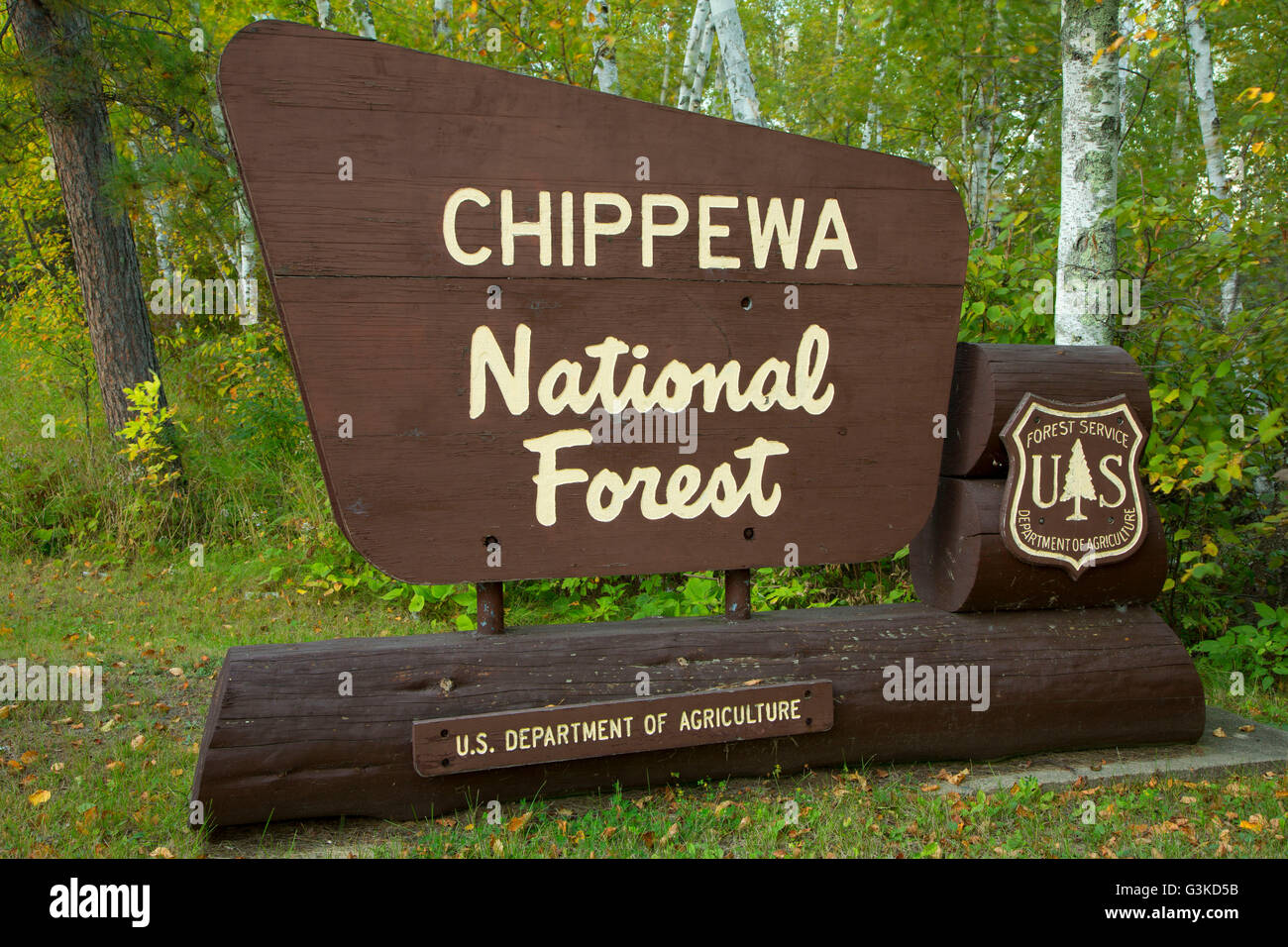 Foresta Nazionale di segno, Chippewa National Forest, bordo del deserto Scenic Byway, Minnesota Foto Stock