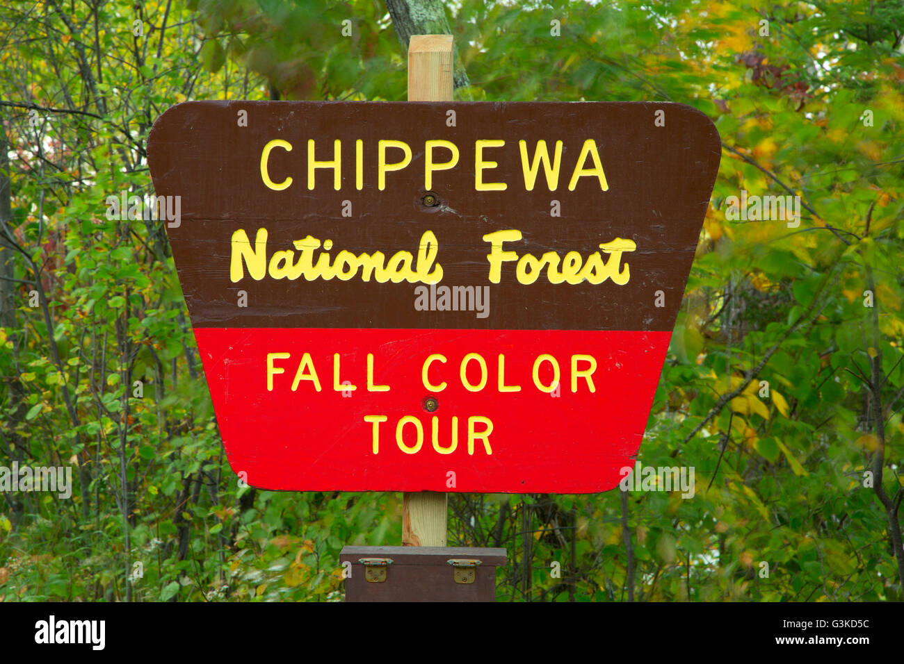 Foresta Nazionale di segno, Chippewa National Forest, bordo del deserto Scenic Byway, Minnesota Foto Stock
