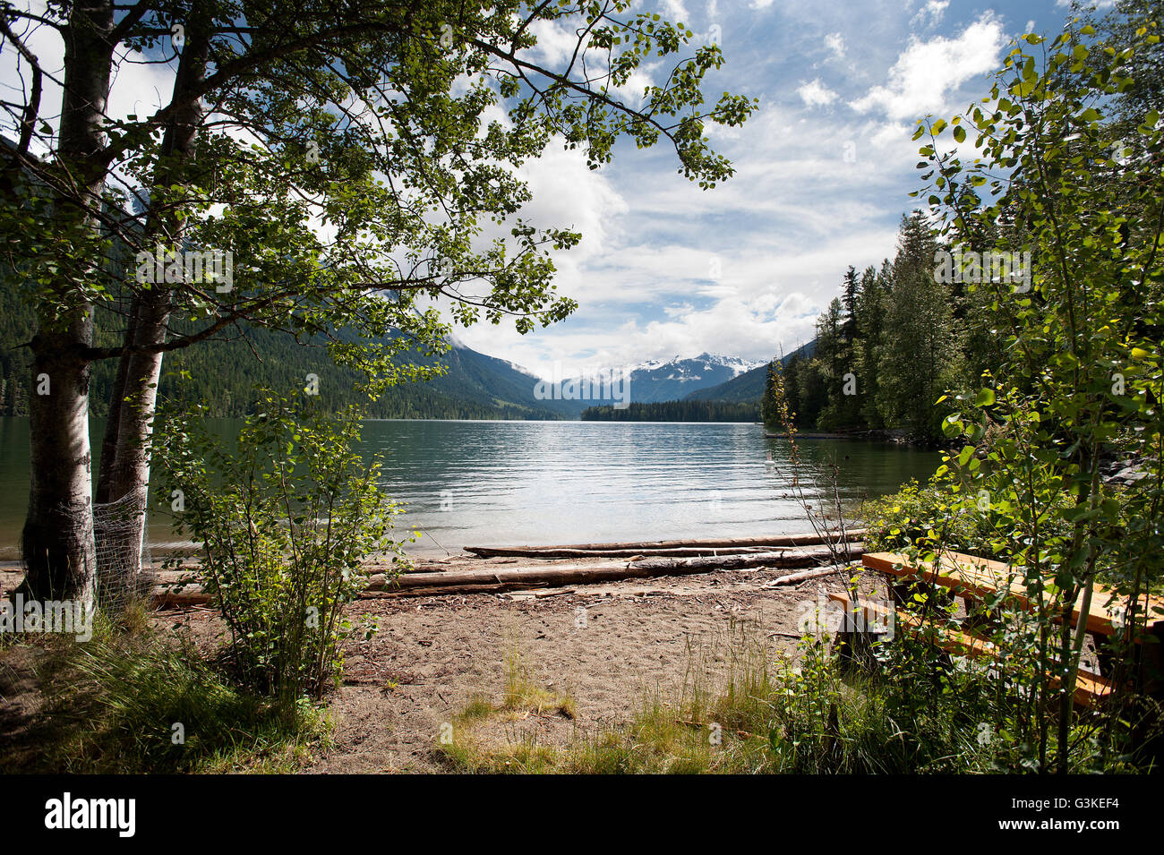 Birkenhead Parco Provinciale, a nord di Pemberton, British Columbia, Canada. Foto Stock