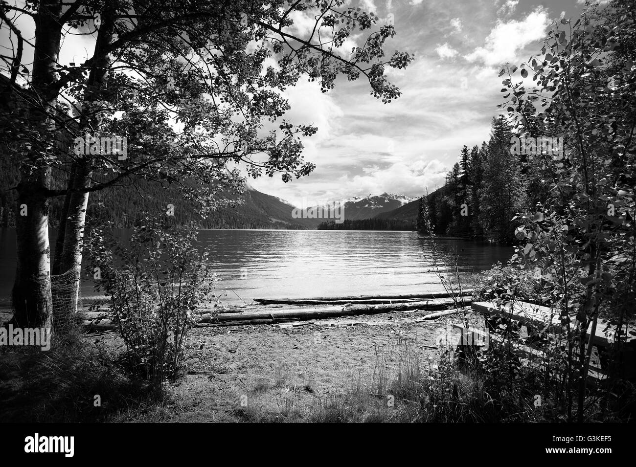 Birkenhead Parco Provinciale, a nord di Pemberton, British Columbia, Canada. Foto Stock