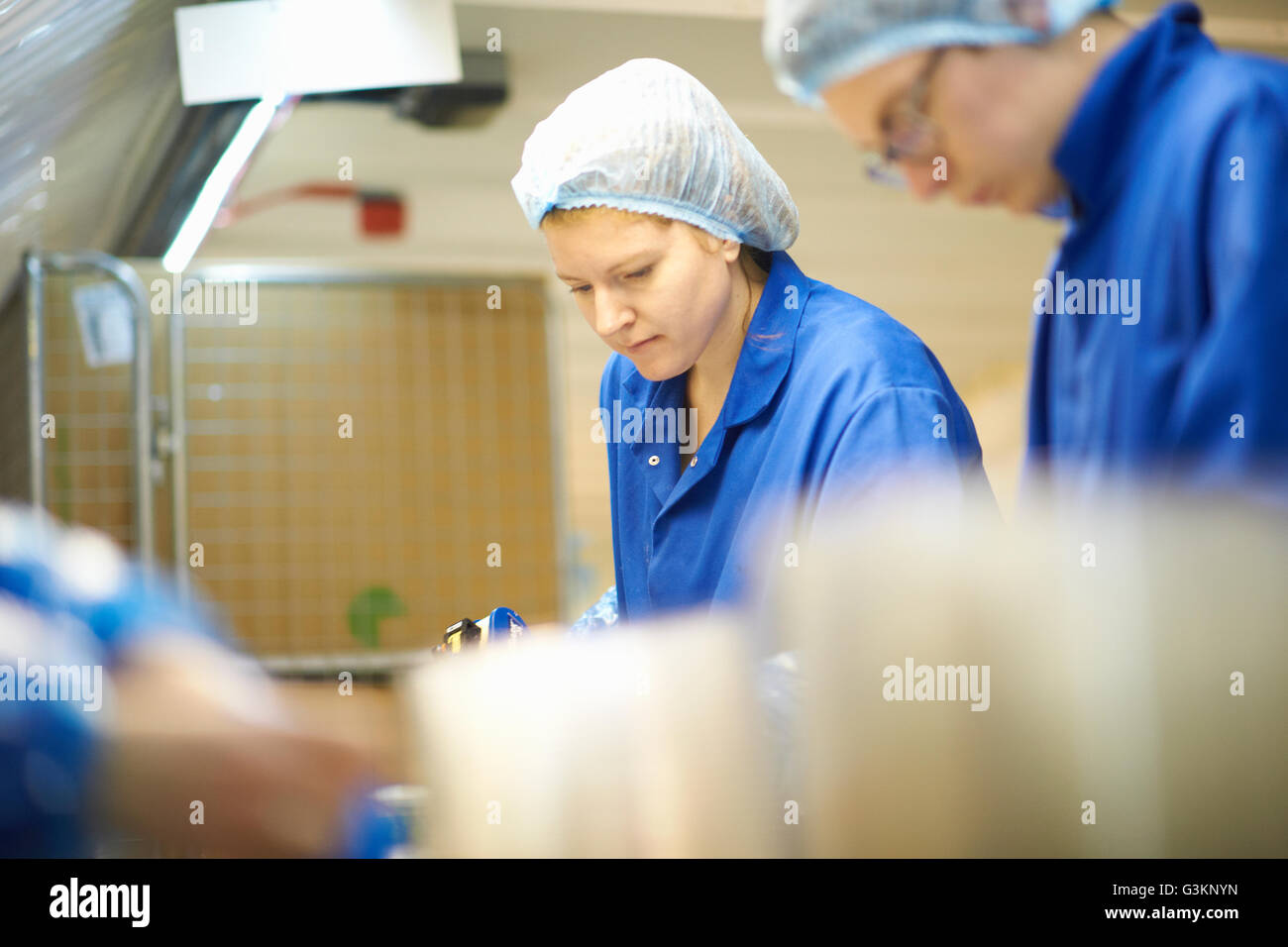 Lavoratore sulla linea di produzione che indossa retina per capelli Foto Stock