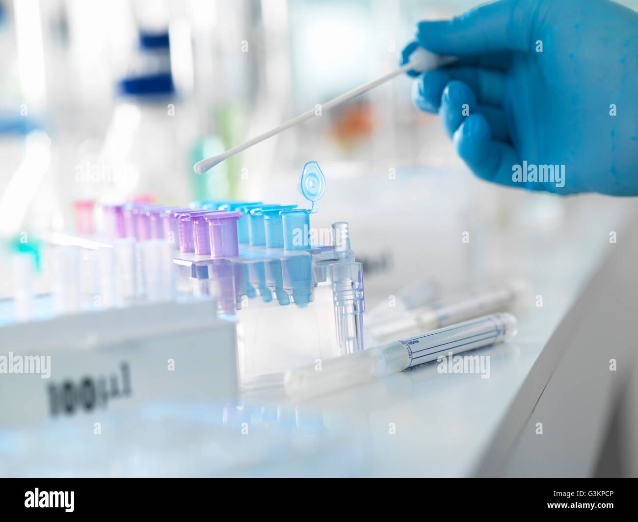 Scienziato preparare un DNA tampone per analisi in un laboratorio di medicina legale o test di paternità Foto Stock