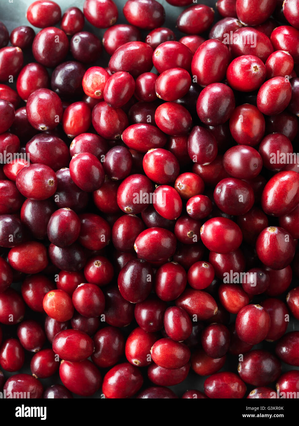 Cranberries, full frame, close-up Foto Stock
