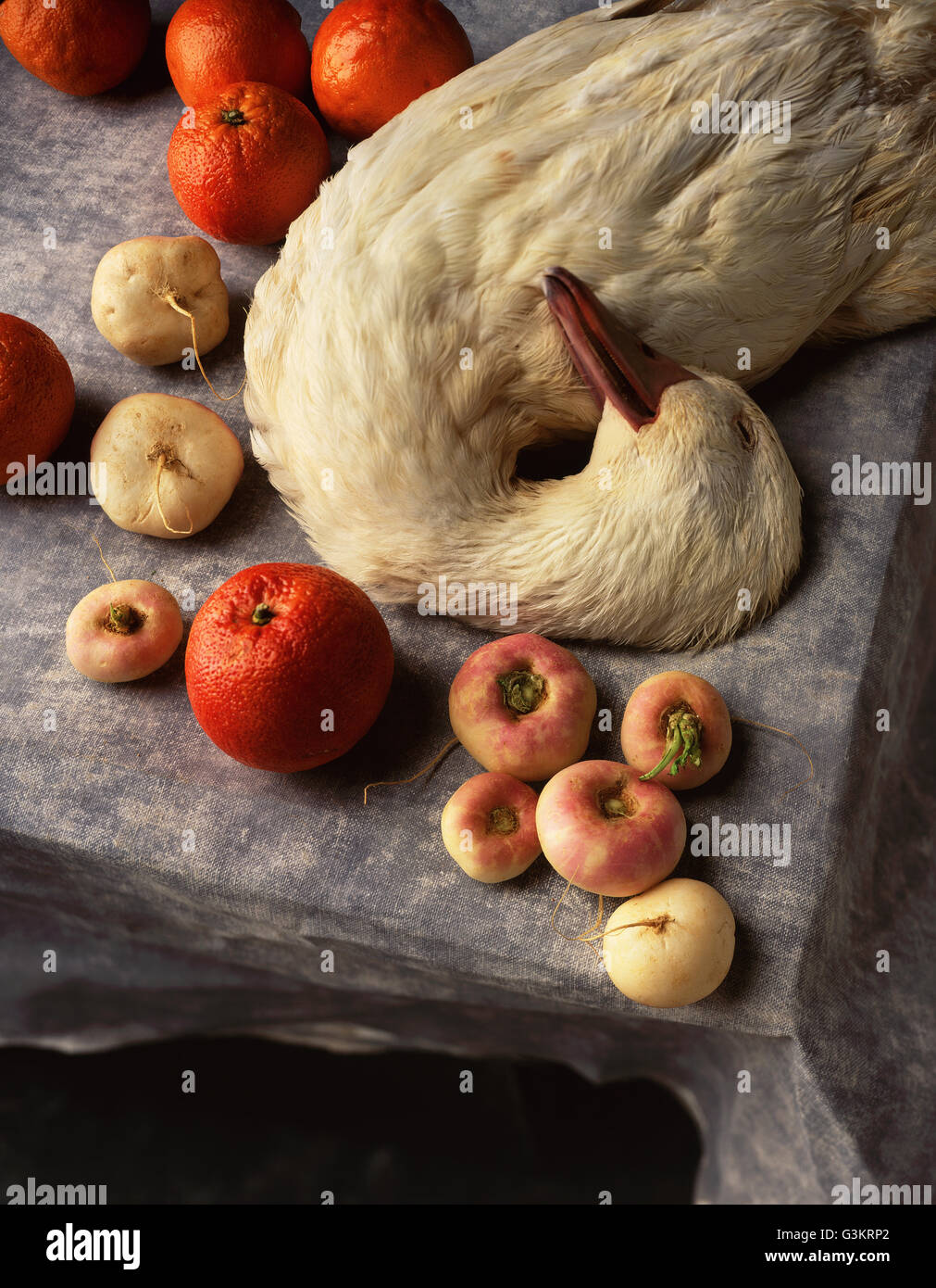 Ancora in vita di aylesbury duck, arance sanguigne e rape Foto Stock