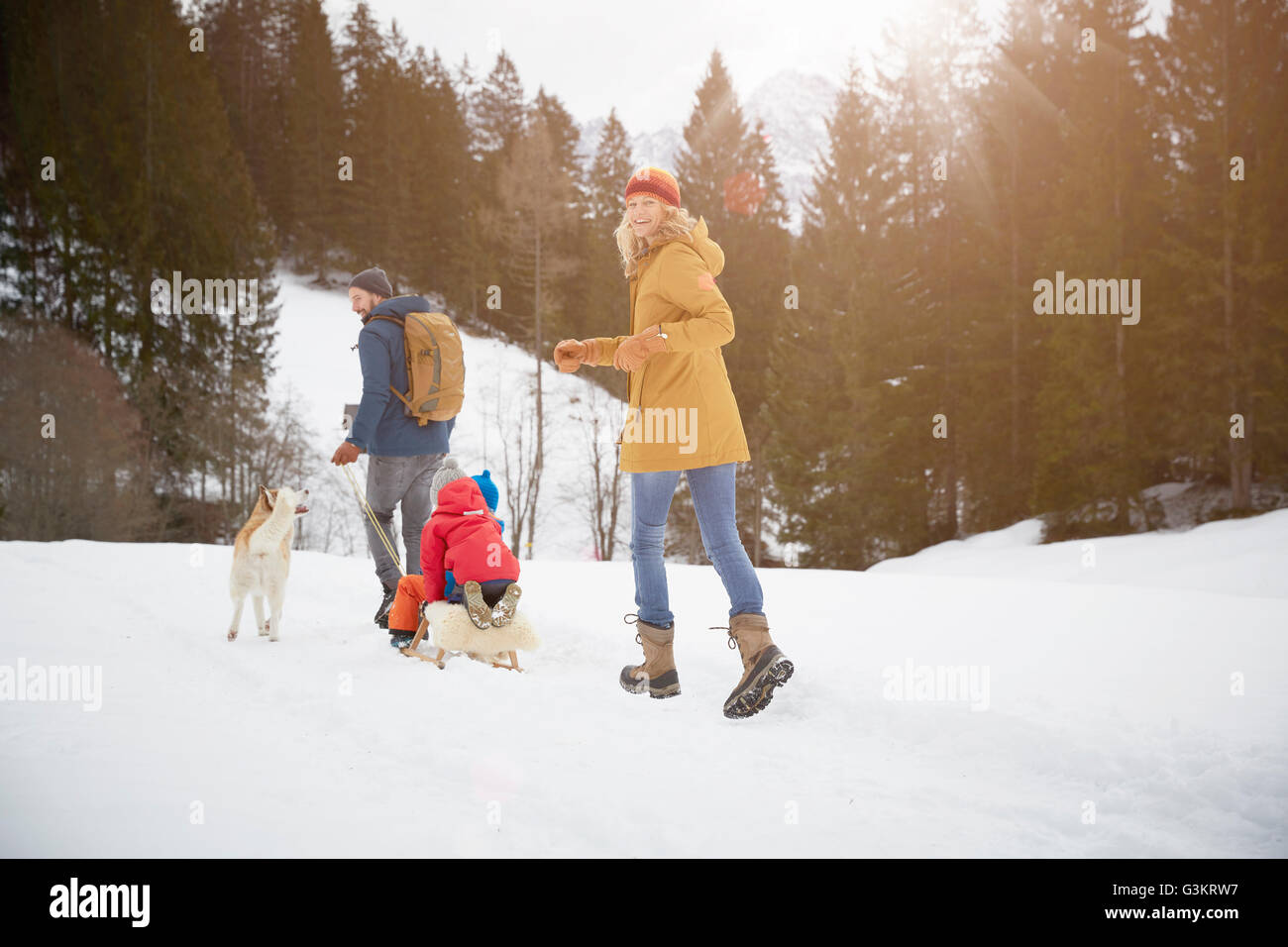 Vista posteriore dei genitori tirando figli sul toboga in paesaggi innevati, Elmau, Baviera, Germania Foto Stock
