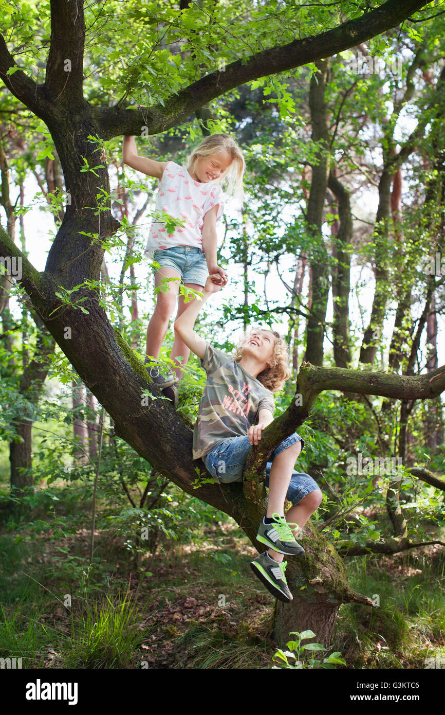 Un ragazzo e una ragazza in albero faccia a faccia sorridente Foto Stock