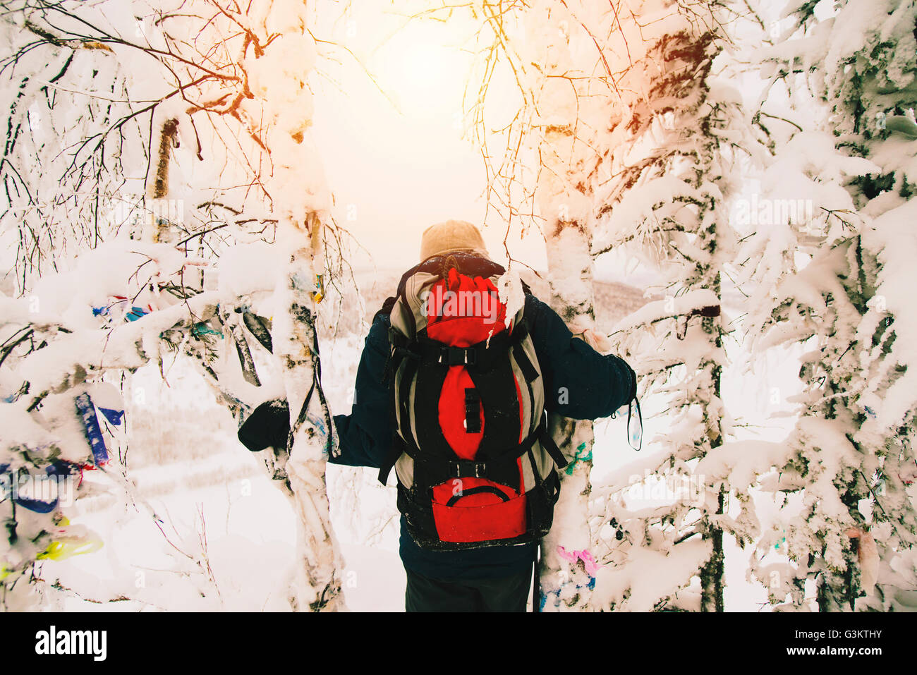 Vista posteriore di uomo che porta uno zaino in coperta di neve forest Foto Stock