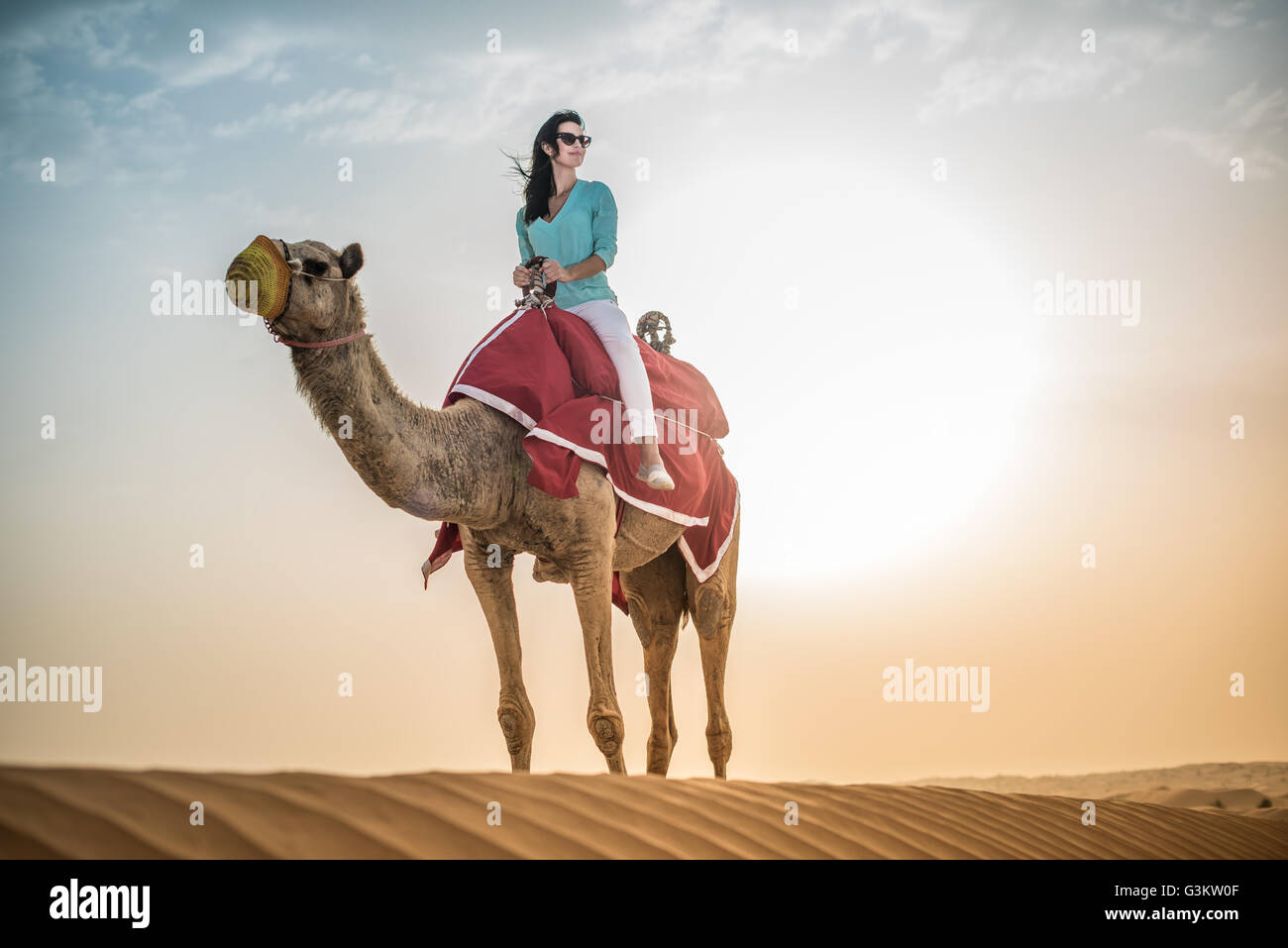 Femmina di equitazione turistica cammello nel deserto, Dubai, Emirati Arabi Uniti Foto Stock