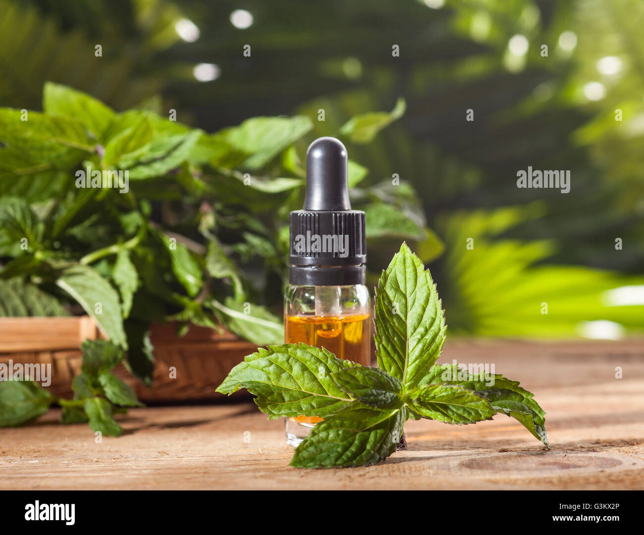 Aroma essenziale con olio di menta piperita su sfondo di legno. Messa a fuoco selettiva, orizzontale. Foto Stock