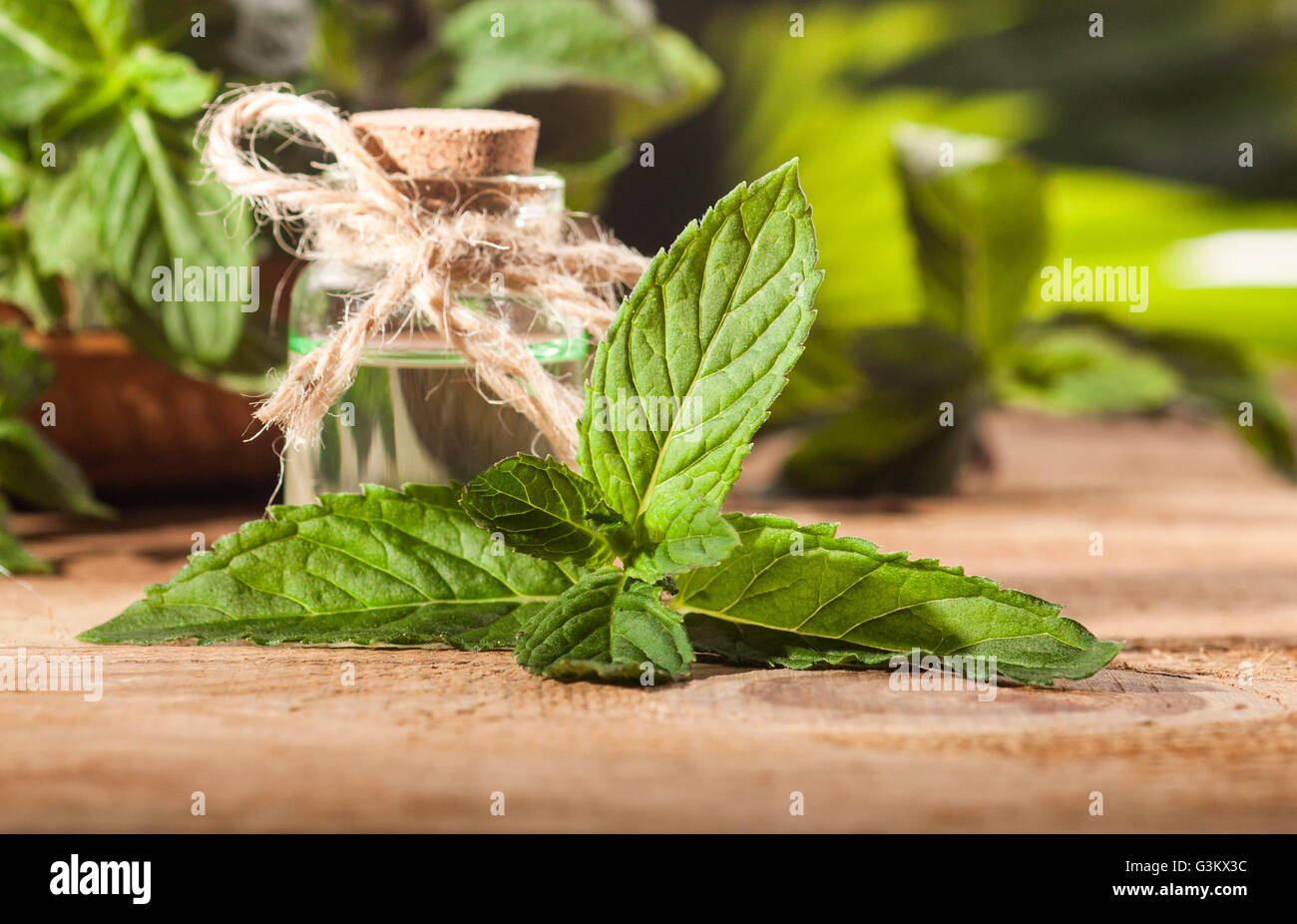 Aroma essenziale con olio di menta piperita su sfondo di legno. Messa a fuoco selettiva, orizzontale. Foto Stock