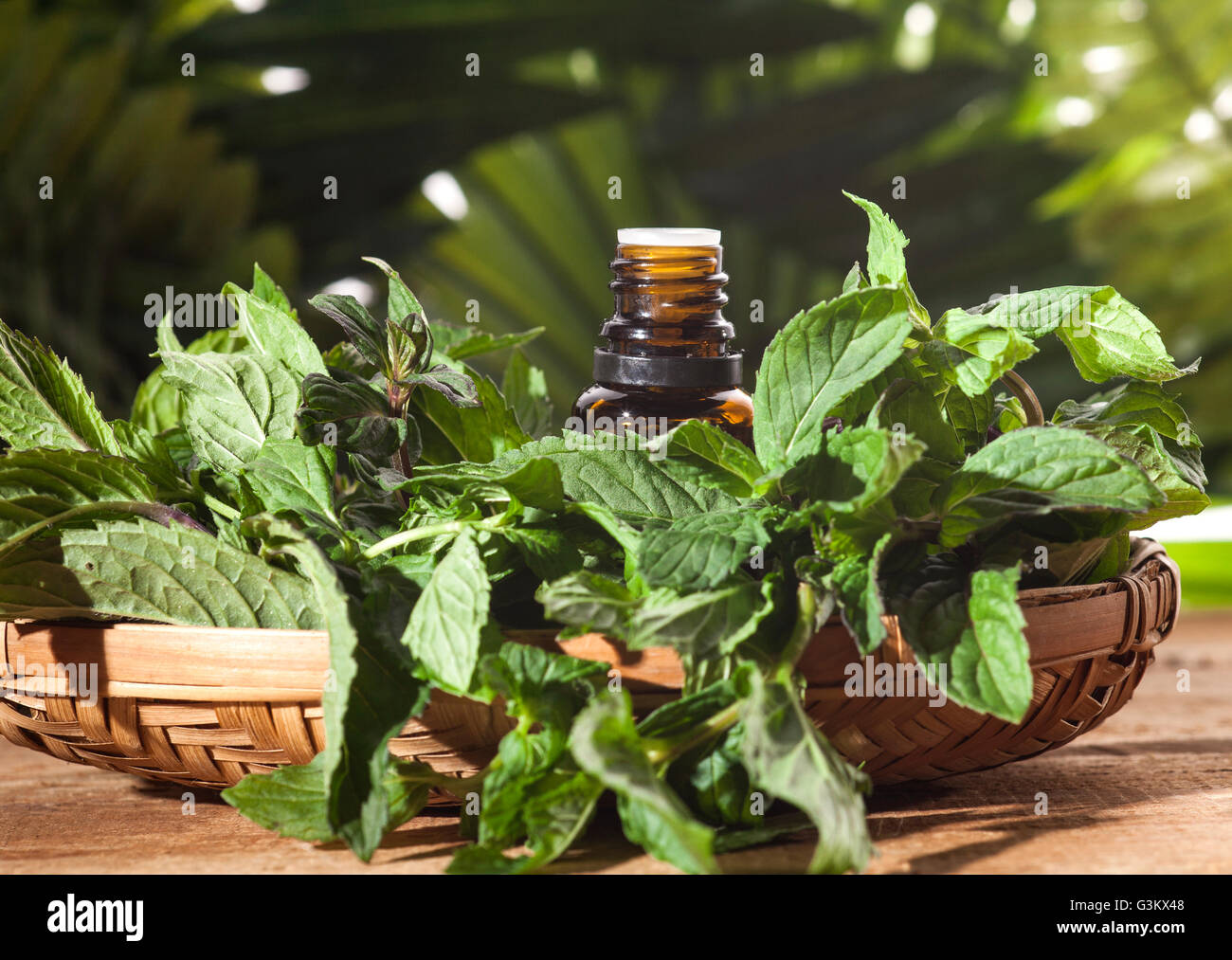 Aroma essenziale con olio di menta piperita su sfondo di legno. Messa a fuoco selettiva, orizzontale. Foto Stock