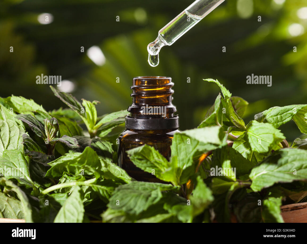 Aroma essenziale con olio di menta piperita su sfondo di legno. Messa a fuoco selettiva, orizzontale. Foto Stock