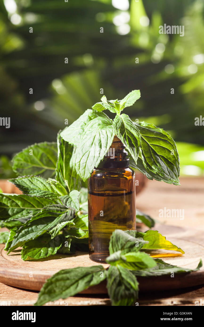 Aroma essenziale con olio di menta piperita su sfondo di legno. Messa a fuoco selettiva, orizzontale. Foto Stock