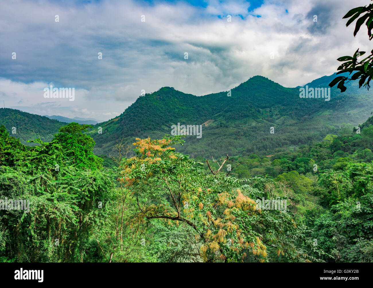 Paesaggio della foresta pluviale, delle montagne boscose vicino Tat Kuang Si cascate, Luang Prabang, Laos Foto Stock