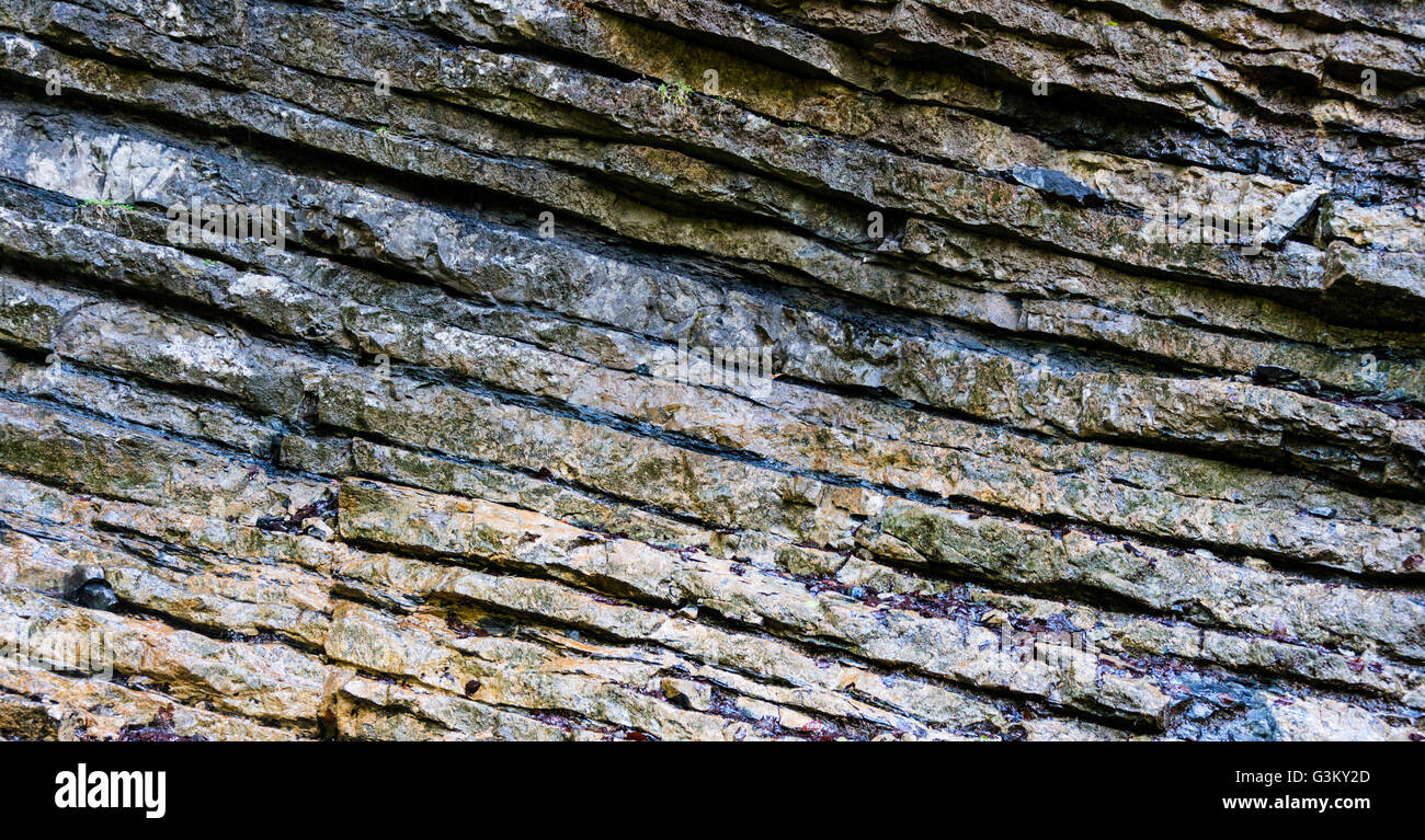 Stratificato lastra di roccia, strati di pietra, Partnach Gorge, Garmisch-Partenkirchen, Baviera, Germania Foto Stock