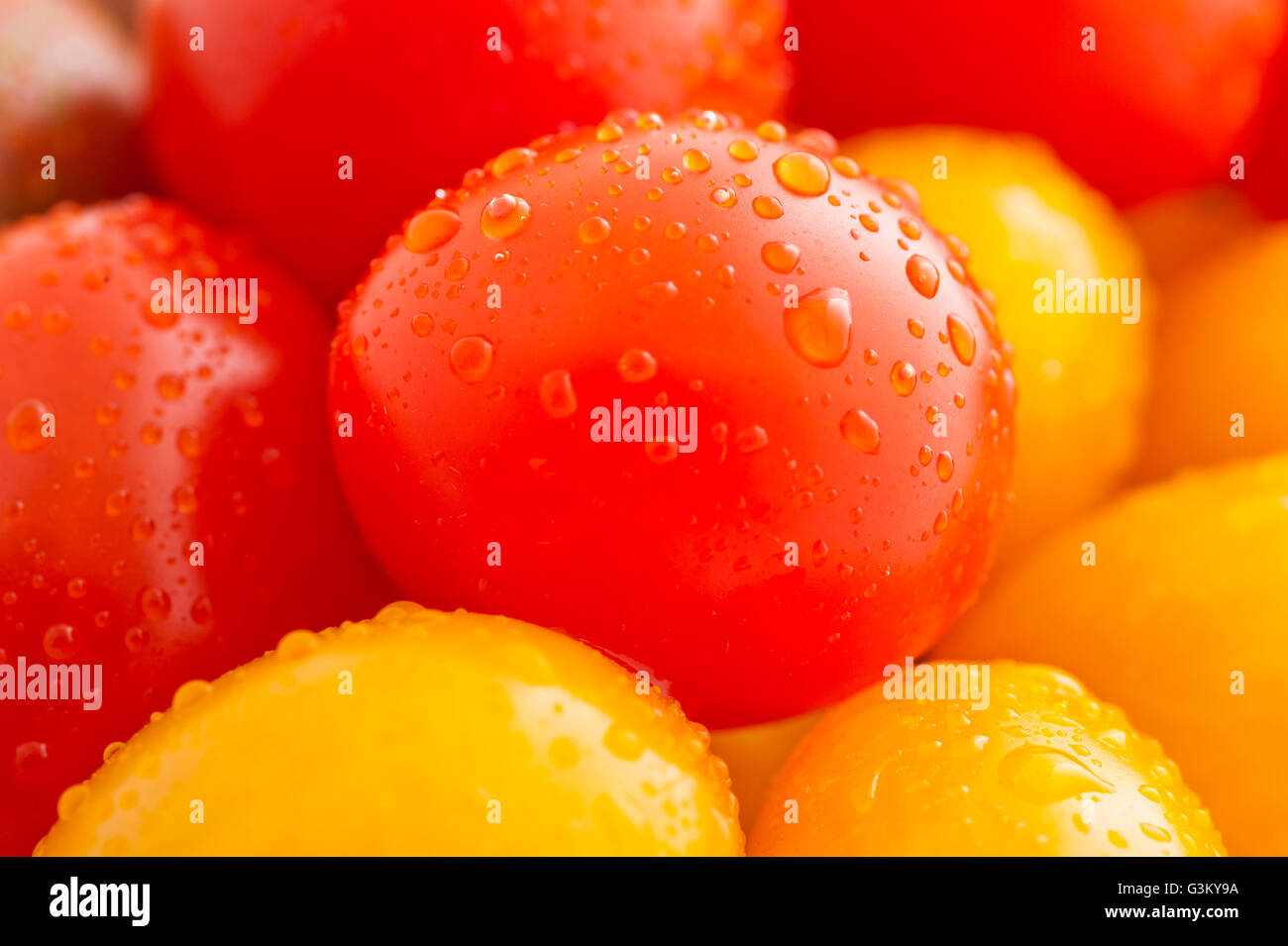 Close up di rosso e giallo i pomodorini Foto Stock