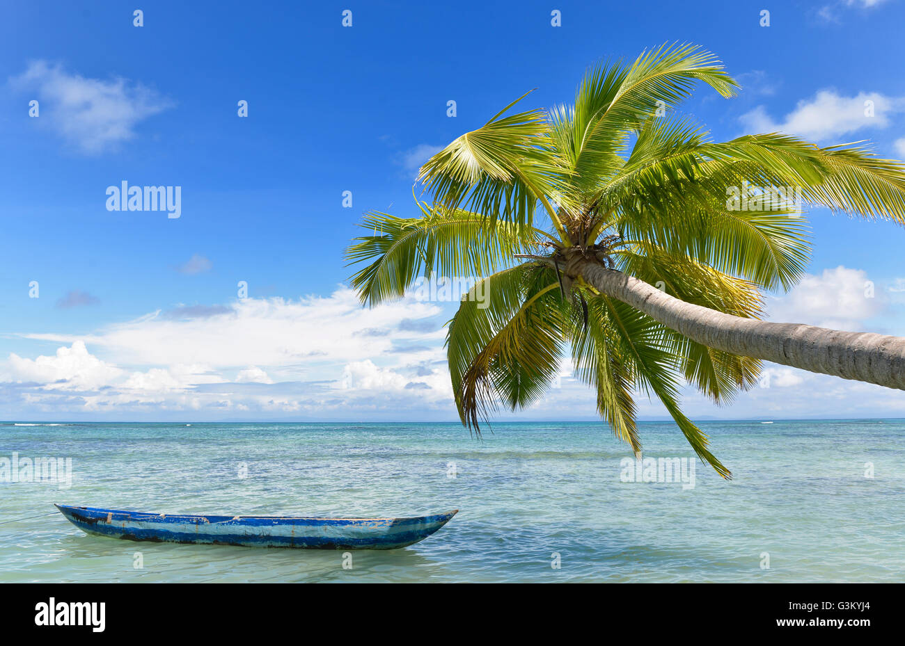 Spiaggia idilliaca con la barca e Palm tree, est del Madagascar, offshore isola, Île aux Nattes, Nosy Nato Foto Stock