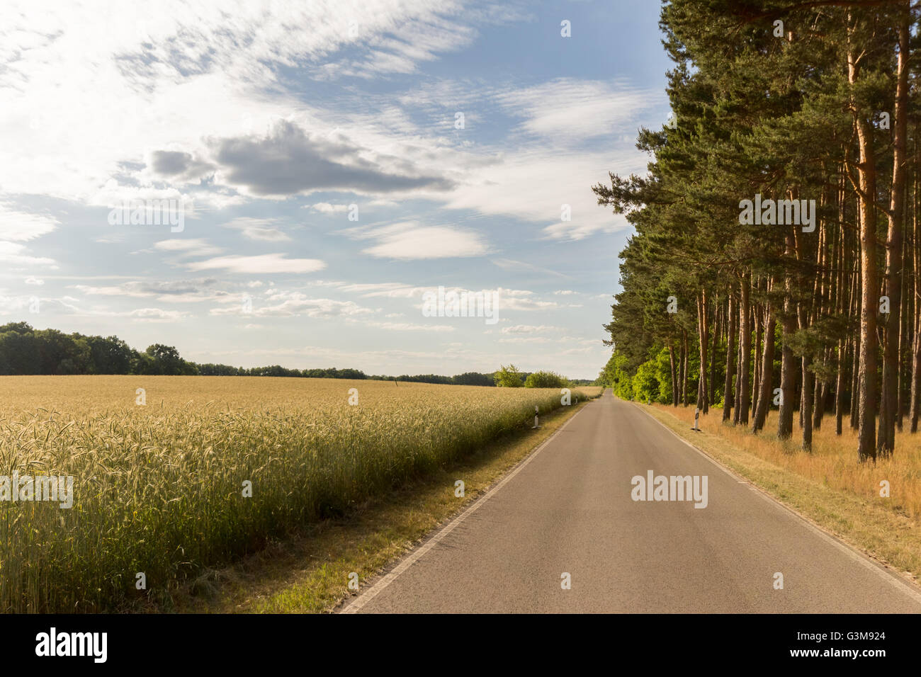 Empty street, strada di campagna nel paesaggio rurale Foto Stock