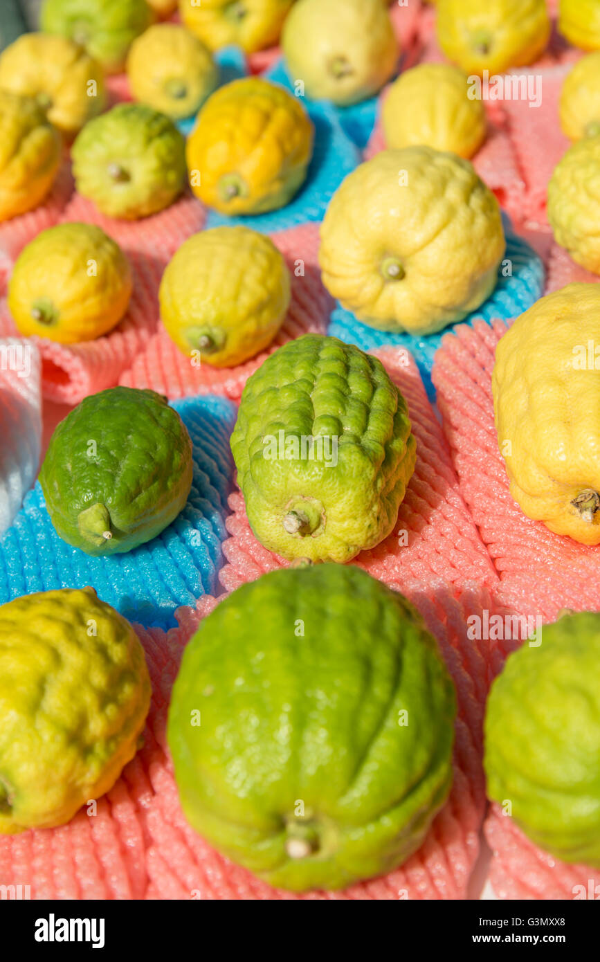 Etrog al mercato per la festa ebraica Sukkot Foto Stock