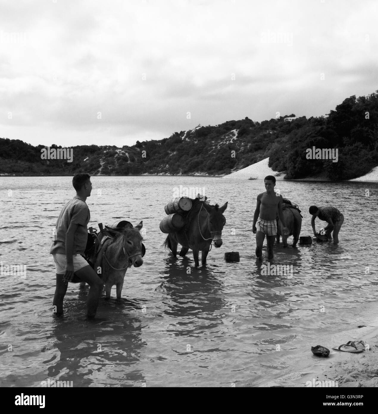 An der Lagoa do Abaete bei Salvador, Brasilien 1960er Jahre. A Lagoa do Abaete vicino a Salvador, Brasile 1960s. Foto Stock