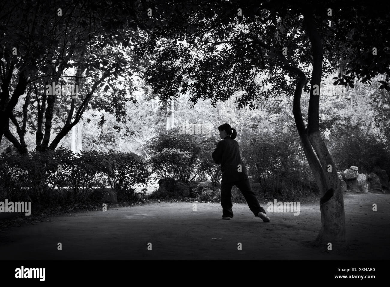 Donna cinese praticare il Tai Chi Qi Gong in un parco in Nanjing, Cina Foto Stock