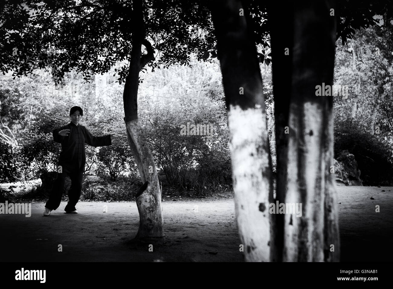 Donna cinese praticare il Tai Chi Qi Gong in un parco in Nanjing, Cina Foto Stock