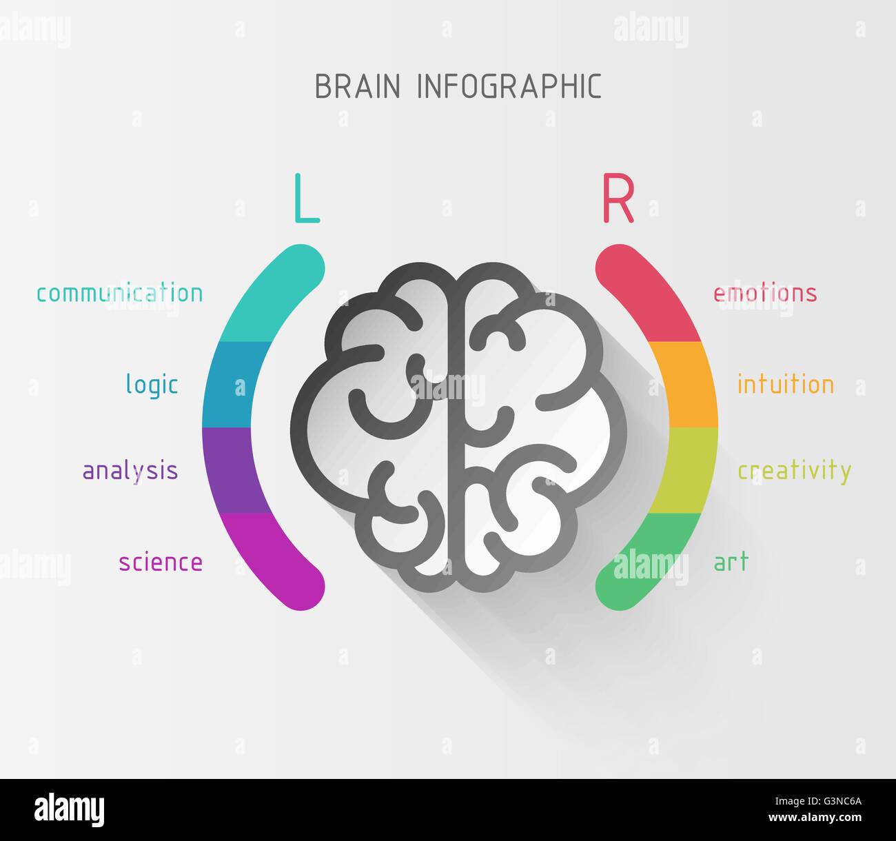 Cervello concetto infografico Illustrazione Vettoriale