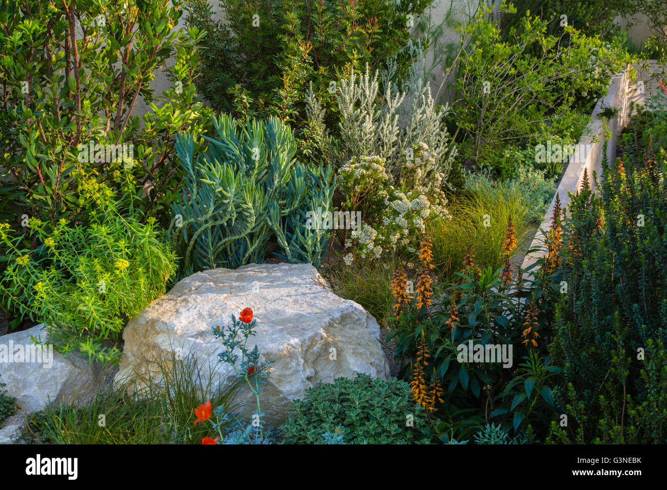 Mostra giardini di RHS Chelsea Flower Show 2016. Telegraph giardino disegnato da Andy lo storione Foto Stock