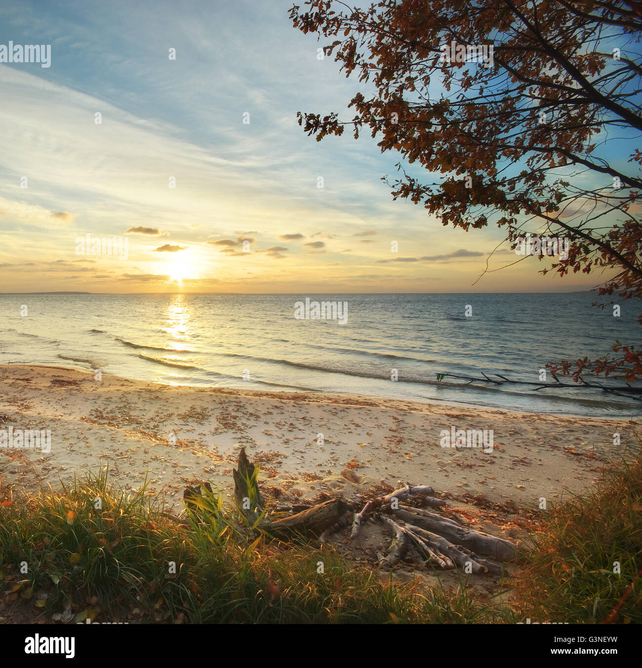 Bellissimo paesaggio. Composizione della natura. Foto Stock