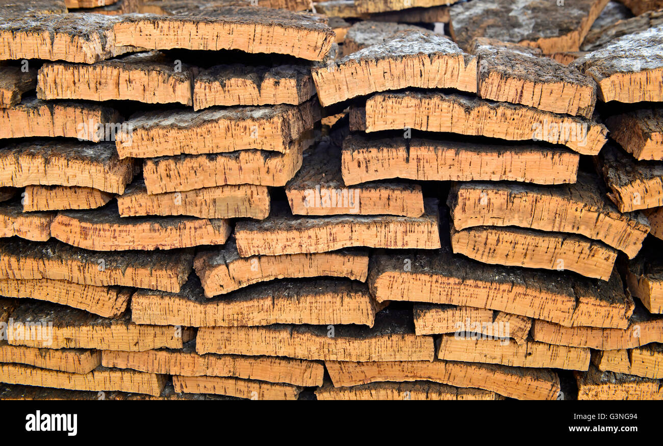 Elaborati corteccia della quercia da sughero (Quercus suber) Foto Stock