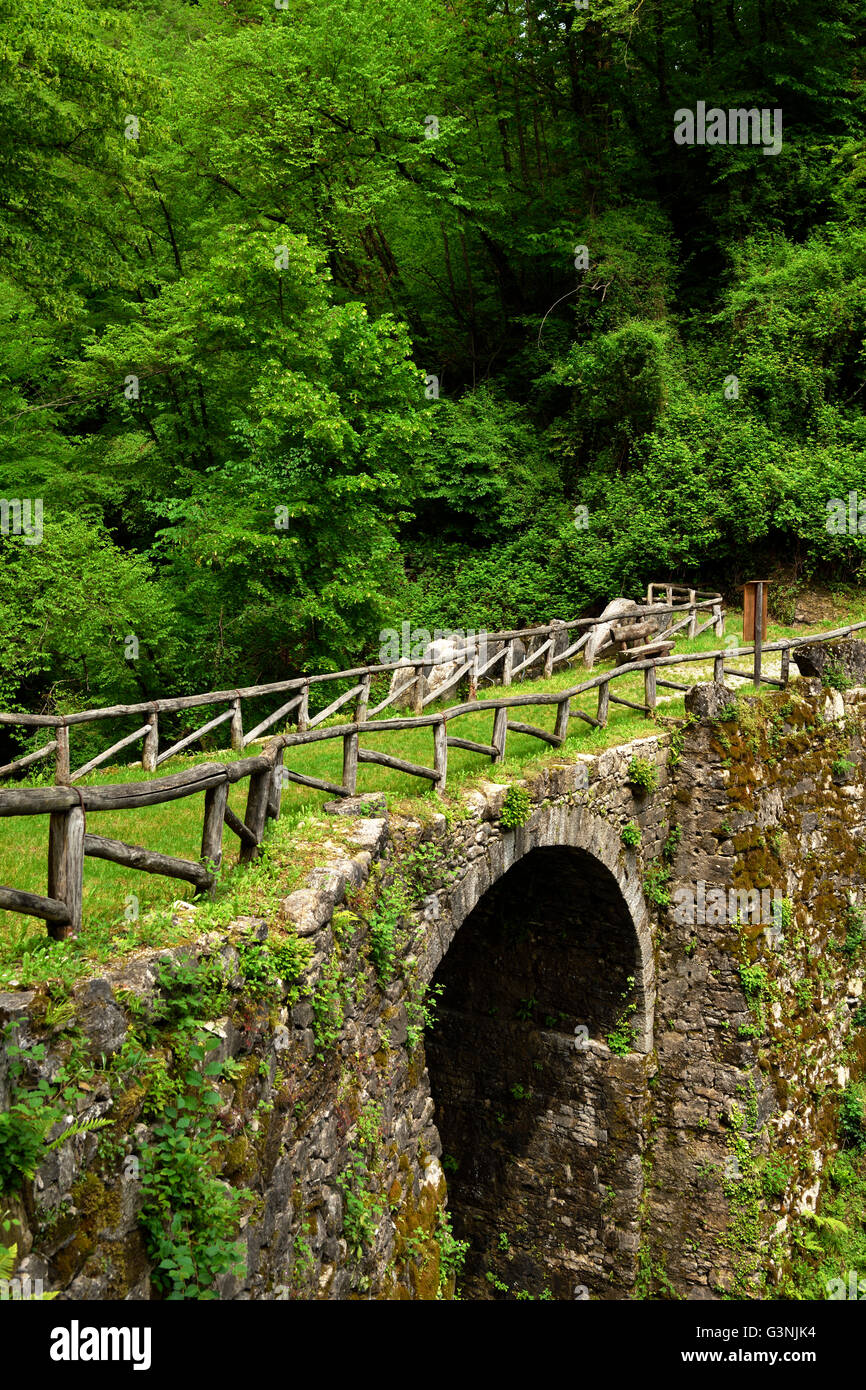 Il Ponte di Canaa ponte, sul fiume Breggia, Geoparco delle Gole della Breggia, Mendrisio, Canton Ticino, Svizzera Foto Stock