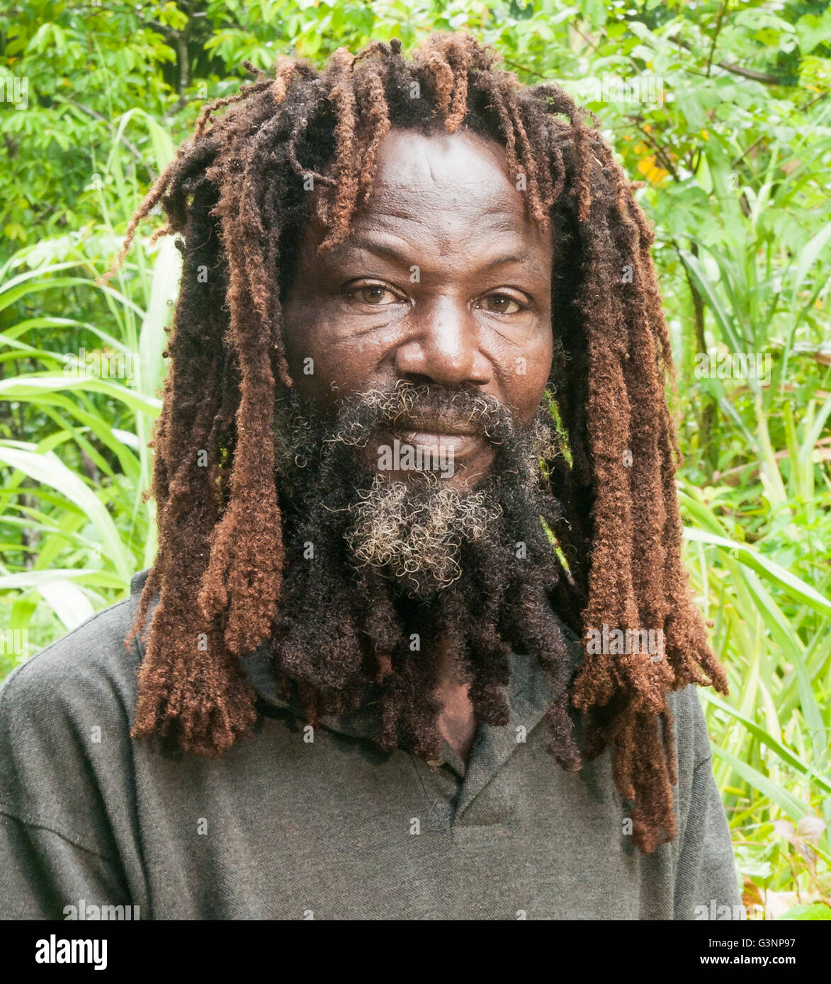 Ritratto di un uomo locale con lunghi di colore rossastro dreadlocks sulla sua azienda White River, Delices, Dominica Foto Stock