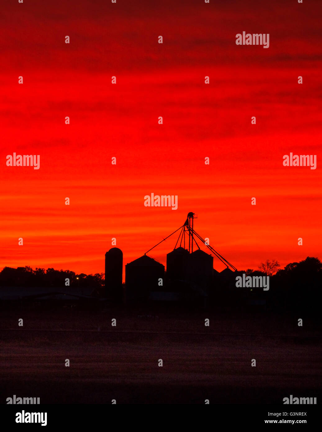 Silhouette di una casa colonica e alberi contro un vivido arancione tramonto, Midwest, Indiana, STATI UNITI D'AMERICA Foto Stock