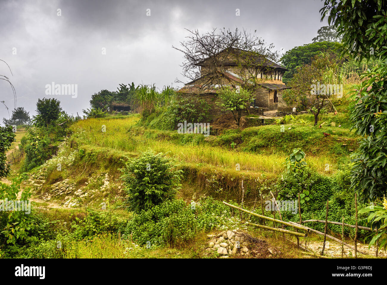 Villaggio di Dhampus situato in Himalaya montagne vicino a Pokhara in Nepal Foto Stock