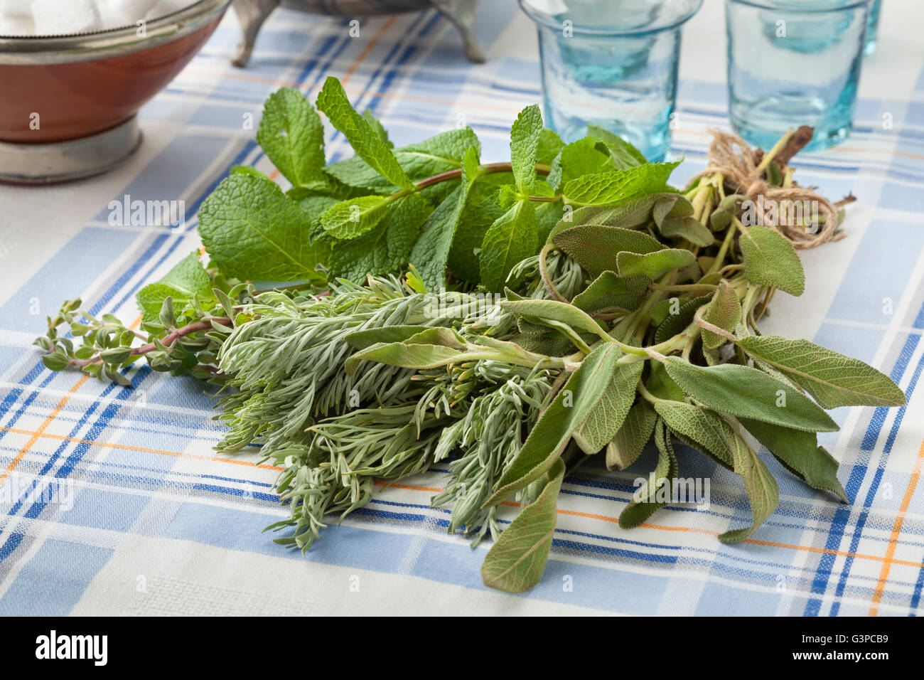 Bouquet di fresche erbe marocchino per tè Foto Stock