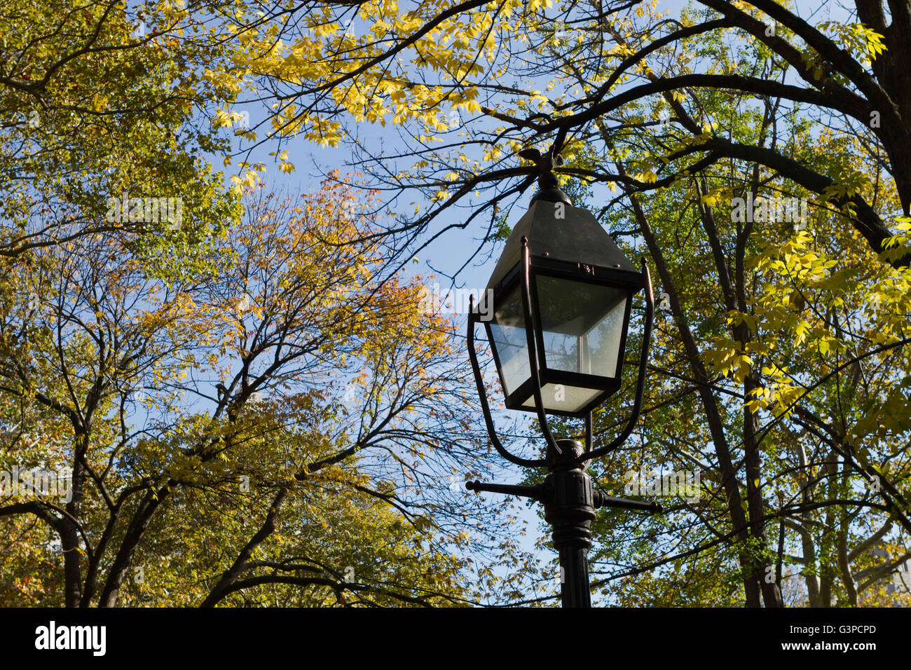 Lampada posta in NYC park con la caduta delle foglie degli alberi in background Foto Stock