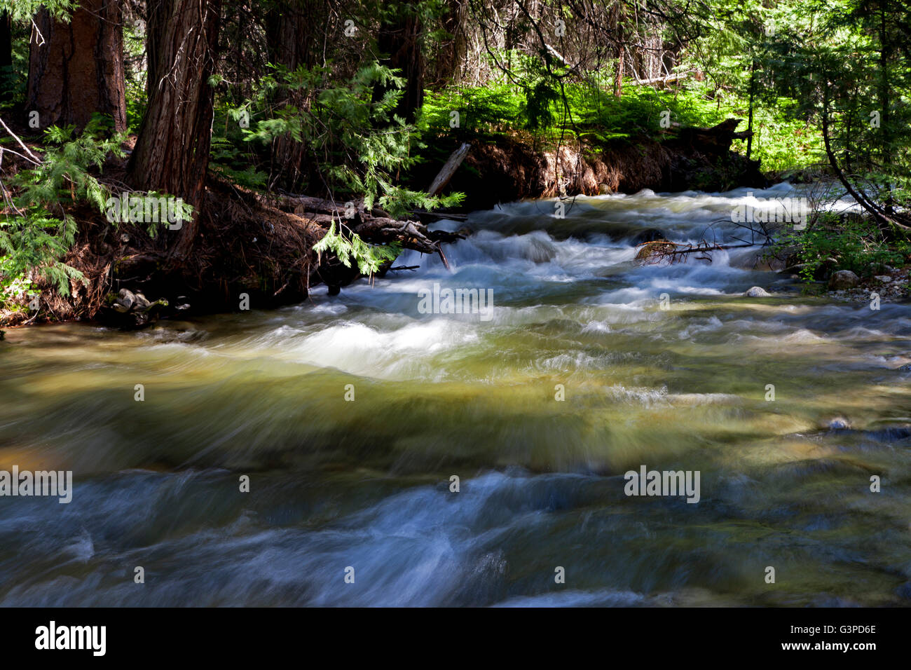 Bubbs Creek in Kings Canyon National Park Foto Stock